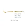 Picture 1/2 -Fogászati műszer Composite Plastic Filling - Dr. Mopper Series 8A Carver Anterior, fém nyél