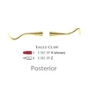 Picture 1/3 -Fogászati műszer XP Scaler Eagle Claw Posterior, plasztik nyéllel