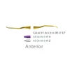 Picture 1/3 -Fogászati műszer XP Gracey +3 Access 00-0 Anterior, with stainless steel handle 27  fém nyéllel