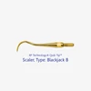 Picture 1/2 -AE.Quik Tip Scaler BLACKJACK B XP