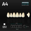 Picture 1/2 -Yamahachi Acryl Crown NS upper anterior A4-S51
