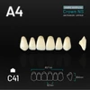 Picture 1/2 -Yamahachi Acryl Crown NS upper anterior A4-C41