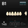 Picture 1/2 -Yamahachi Acryl Crown NS upper anterior B1-T41S