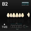 Picture 1/2 -Yamahachi Acryl Crown NS upper anterior B2-T41S