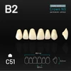 Picture 1/2 -Yamahachi Acryl Crown NS upper anterior B2-C51