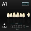 Picture 1/2 -Yamahachi Acryl Crown NS upper anterior A1-C51