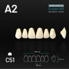 Picture 1/2 -Yamahachi Acryl Crown NS upper anterior A2-C51