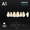 Picture 1/2 -Yamahachi Acryl Crown NS upper anterior A1-S81