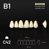 Picture 1/3 -Yamahachi Composit Crown PX upper anterior B1-C42