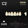 Picture 1/3 -Yamahachi Composit Crown felső metsző C2-S43S