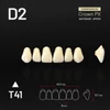 Picture 1/3 -Yamahachi Composit Crown PX upper anterior D2-T41