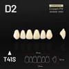 Picture 1/3 -Yamahachi Composit Crown PX upper anterior D2-T41S