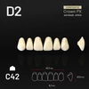 Picture 1/3 -Yamahachi Composit Crown PX upper anterior D2-C42