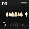 Picture 1/3 -Yamahachi Composit Crown PX upper anterior D3-T51