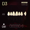 Kép 1/3 - YM Composit Crown Felső metsző D3-C61