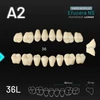 Picture 1/2 -Yamahachi Acryl Efucera NS lower posterior A2-36L