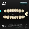 Picture 1/2 -Yamahachi Acryl Efucera NS upper posterior A1-36U
