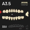 Picture 1/3 -Yamahachi Composit EFUCERA felső rágó A3,5 32U