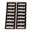 Picture 3/3 -Yamahachi Composit Crown PX upper anterior D2-T51 Picture 3/3 -Yamahachi Composit Crown PX upper anterior D2-T51