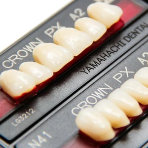 Crown PX Composit Posterior