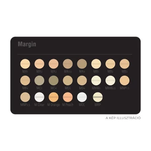 Shade Guides