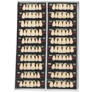 Composite Artificial Teeth