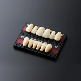 Artificial Teeth