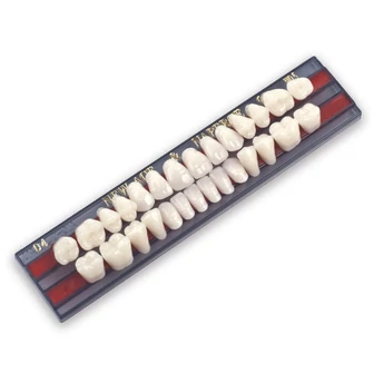 Yamahachi Acryl műfog garnitúra A2 SS2