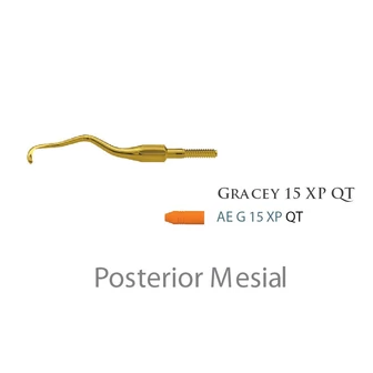 Fogászati műszer XP Quik-Tip Gracey Standard 15 31 Fogászati műszer XP Quik-Tip Gracey Standard 15 31