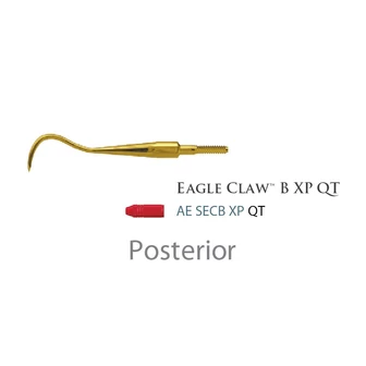 Fogászati műszer Quik-Tip Scaler, Type: Eagle Claw B 34Type: Eagle Claw B