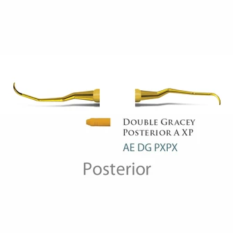 American Eagle Double Gracey Posterior / Scandette XPX