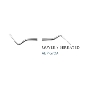 AE.Packing Instrument Guyer 7off-Angle