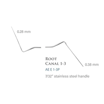 AE.Pluggers,Endodontics  E 1-3 P