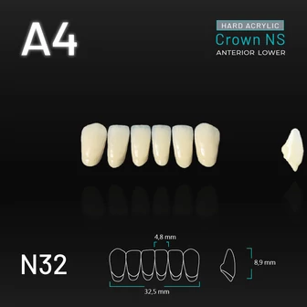 Yamahachi Acryl Crown NS lower anterior A4-N32