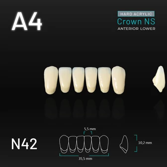 Yamahachi Acryl Crown NS lower anterior A4-N42