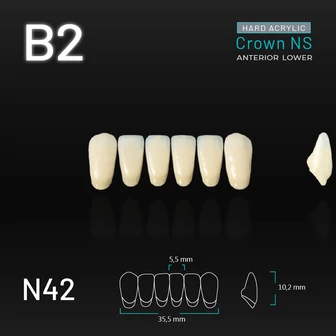 Yamahachi Acryl Crown NS alsó metsző B2 N42