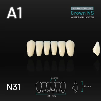 Yamahachi Akril Crown NS alsó metsző A1-N31