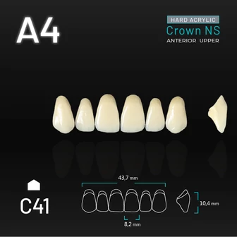 Yamahachi Acryl Crown NS upper anterior A4-C41