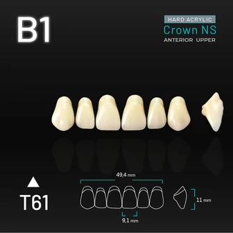 Yamahachi Acryl Crown NS upper anterior B1-T61
