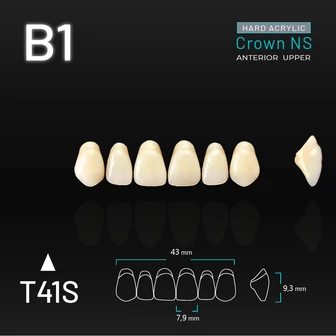Yamahachi Acryl Crown NS upper anterior B1-T41S