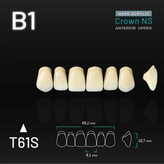 Yamahachi Acryl Crown NS upper anterior B1-T61S