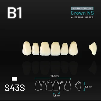 Yamahachi Acryl Crown NS upper anterior B1-S43S