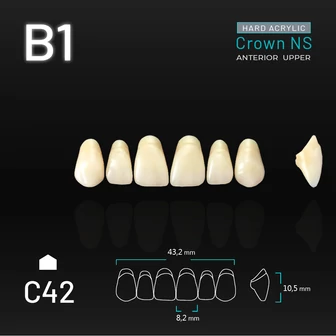 Yamahachi Acryl Crown NS upper anterior B1-C42