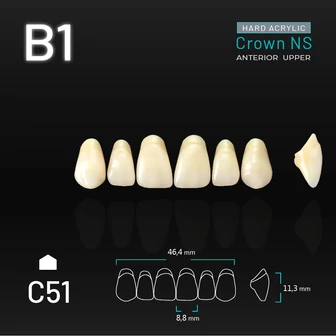 Yamahachi Acryl Crown NS upper anterior B1-C51