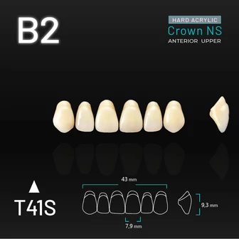 Yamahachi Acryl Crown NS upper anterior B2-T41S