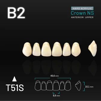 Yamahachi Acryl Crown NS upper anterior B2-T51S