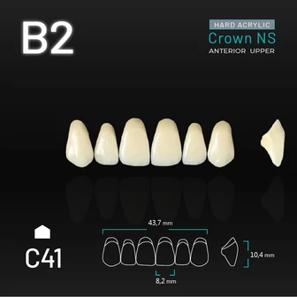 Yamahachi Acryl Crown NS felső metsző B2 C41