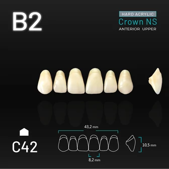 Yamahachi Acryl Crown NS upper anterior B2-C42