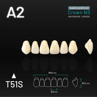 Yamahachi Acryl Crown NS upper anterior A2-T51S