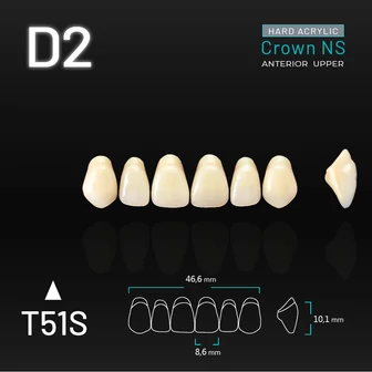 Yamahachi Acryl Crown NS upper anterior D2-T51S